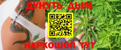 крисы Краснодар
