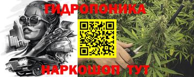 прущие грибы Краснознаменск
