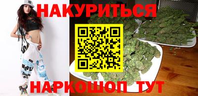 крисы Краснодар
