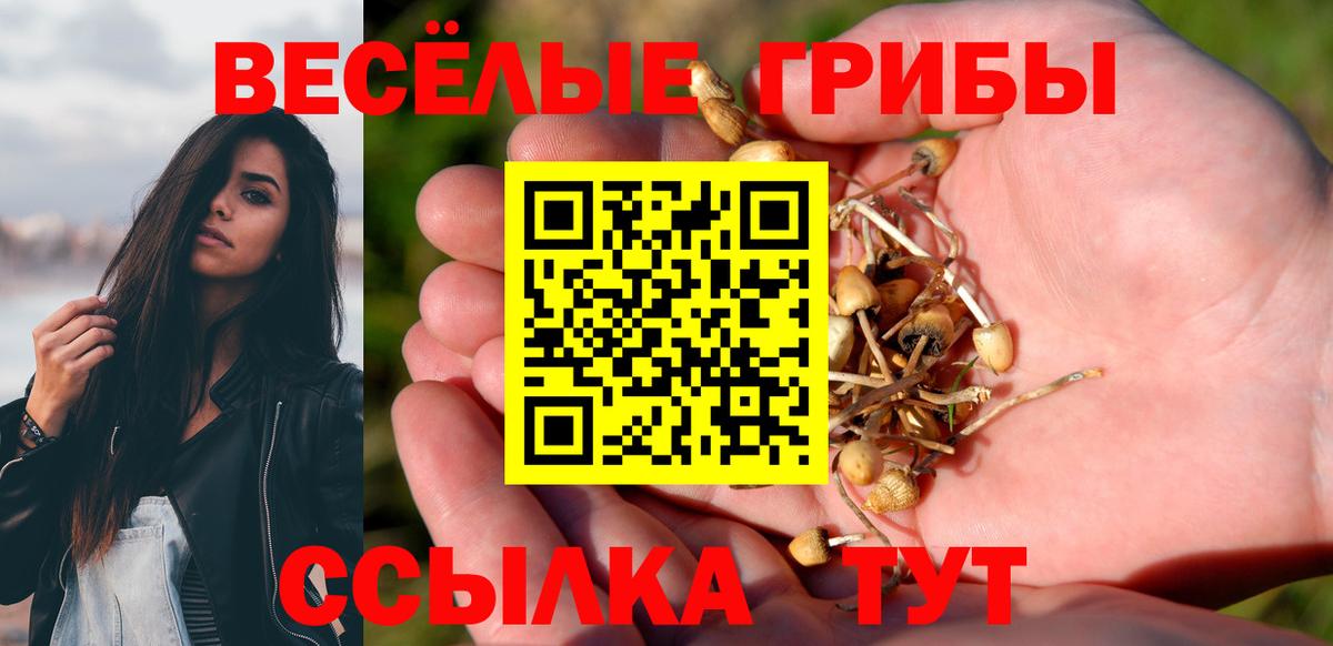 Коряжма  Псилоцибиновые грибы мухоморы  Вход с VPN 